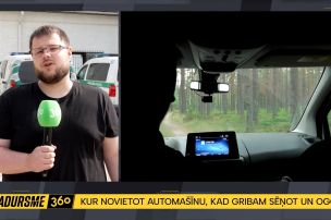Sēņošanas sezonā pastiprināti uzraudzīs autovadītājus mežu tuvumā