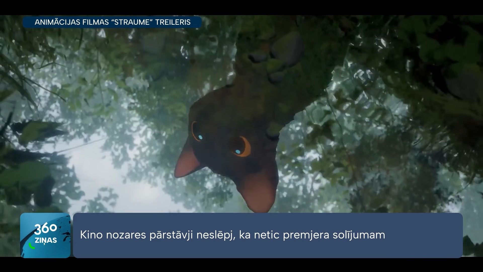 360 Ziņas