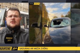 Pēc sadursmes ar meža dzīvnieku automašīnai pilnībā izšķaidīts priekšējais stikls
