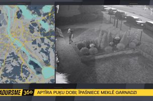 Nakts reids svešā pagalmā: Rīgā garnadze noskatītos dārza rotājumus aiznes taisni kameru priekšā