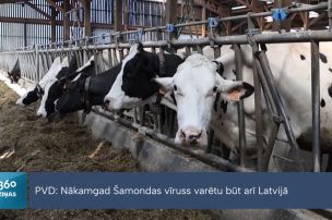 Šamondas vīrusa bīstamība cilvēkiem pagaidām tiek vērtēta kā ļoti zema