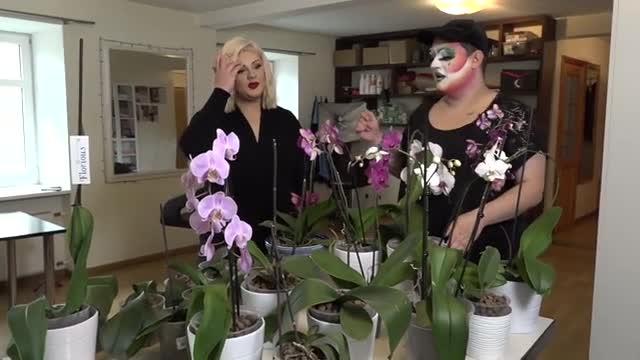 Slavenības. Bez filtra