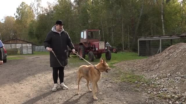 Slavenības. Bez filtra