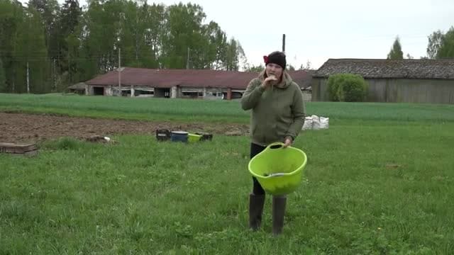 Slavenības. Bez filtra