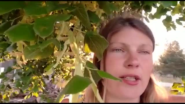 Slavenības. Bez filtra