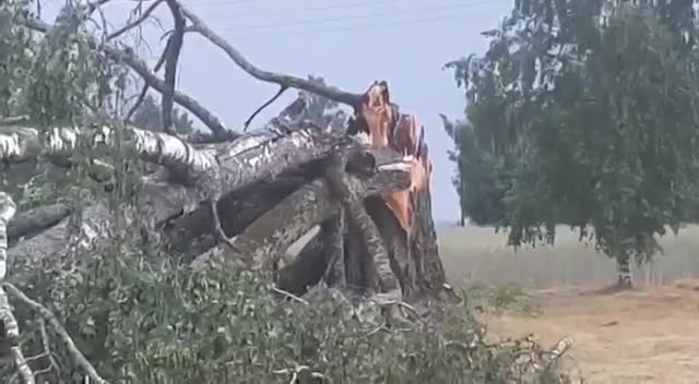 Slavenības. Bez filtra