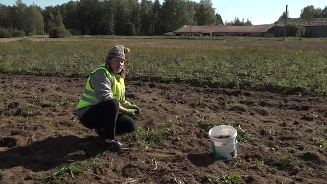 Slavenības. Bez filtra