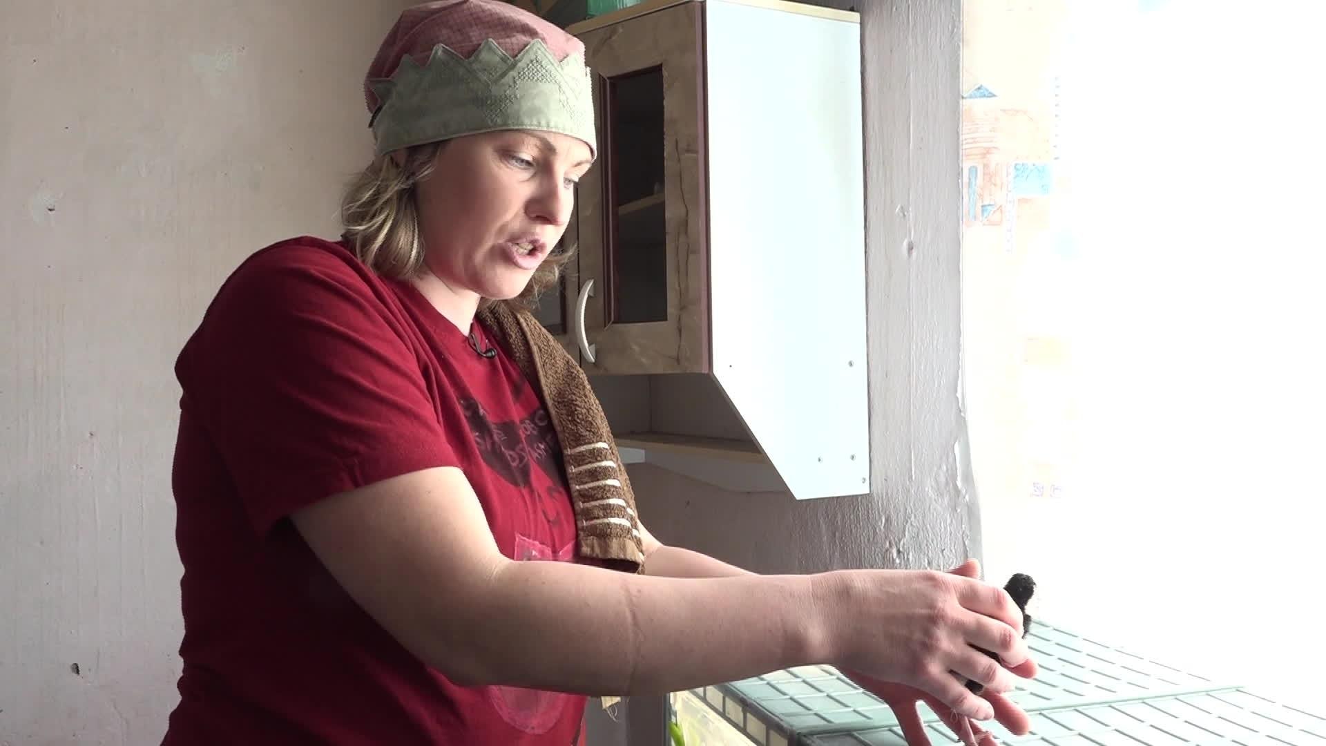 Slavenības. Bez filtra