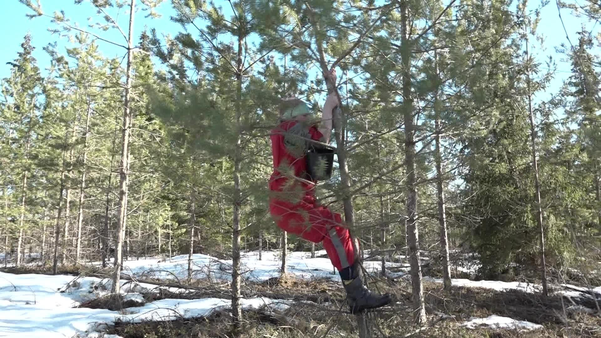 Slavenības. Bez filtra