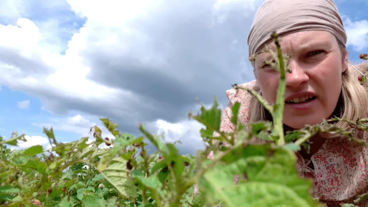 Slavenības. Bez filtra