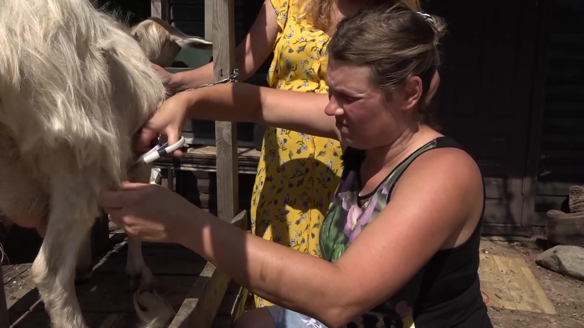 Slavenības. Bez filtra