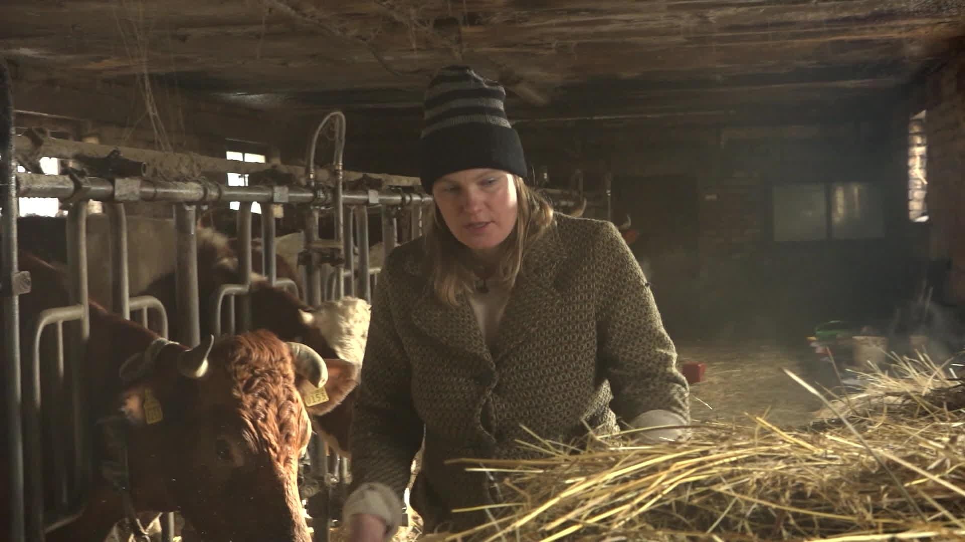 Slavenības. Bez filtra