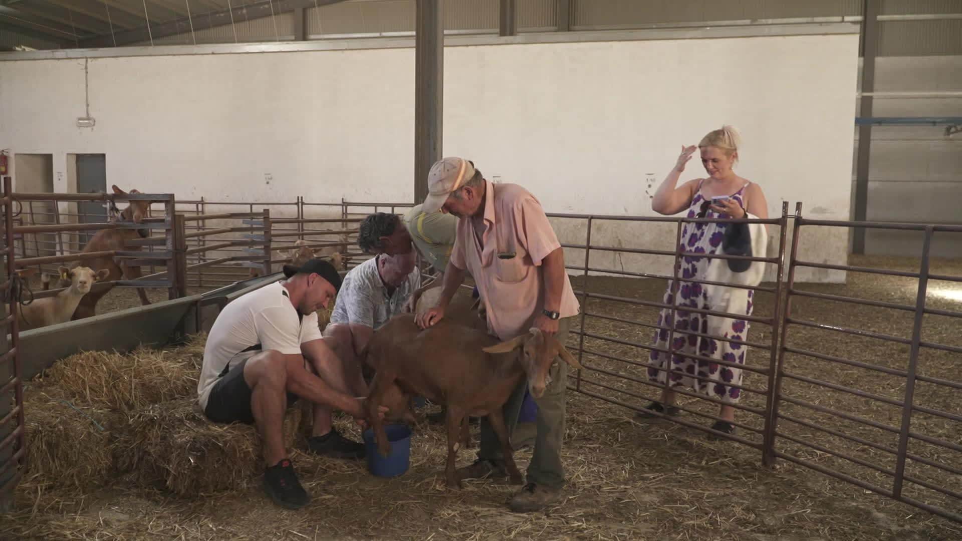 Kā mīlēt ar galvu