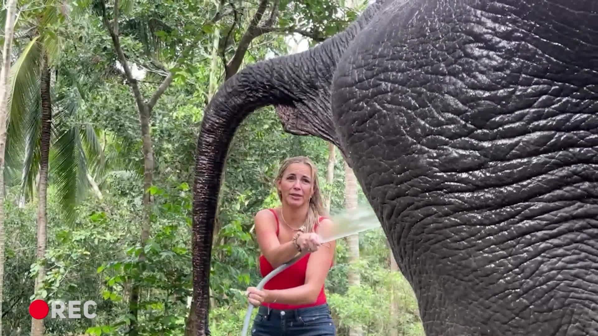 Slavenības. Bez filtra