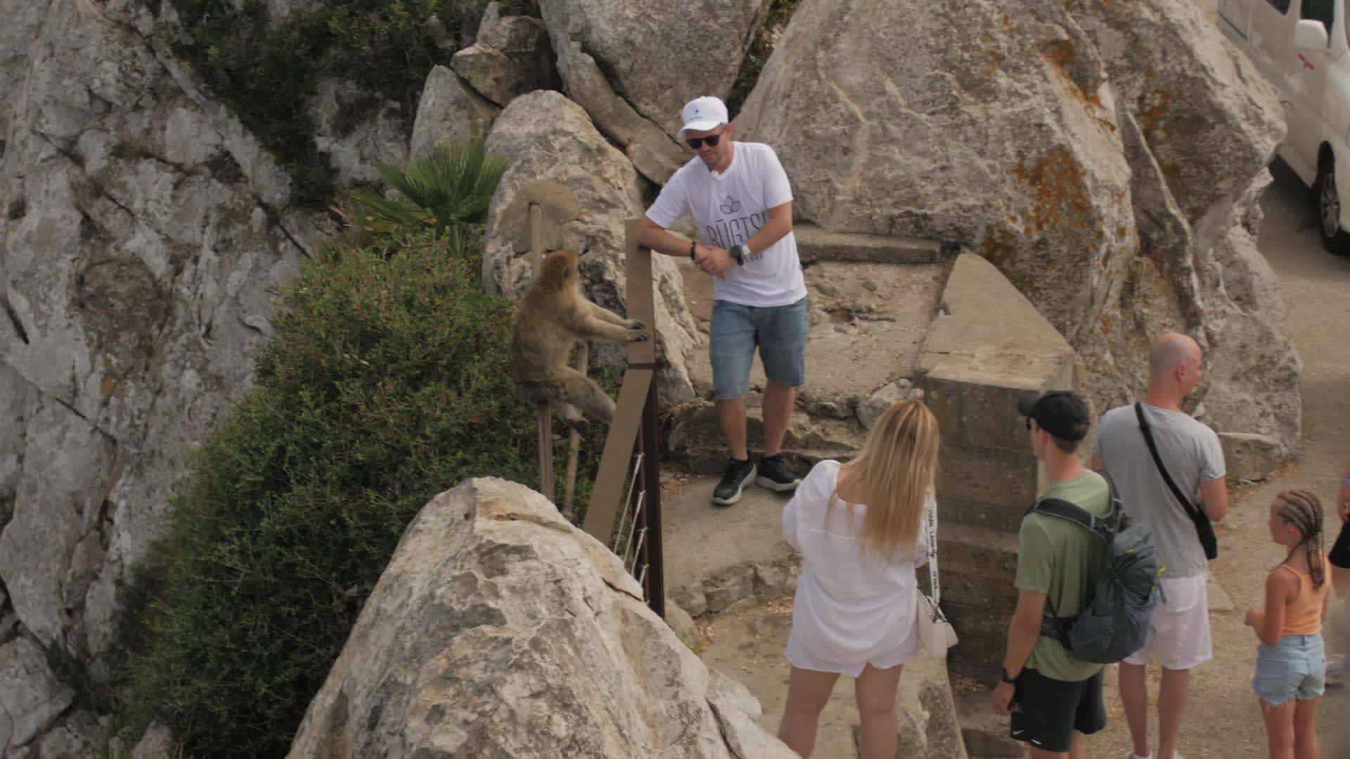 Kā mīlēt ar galvu