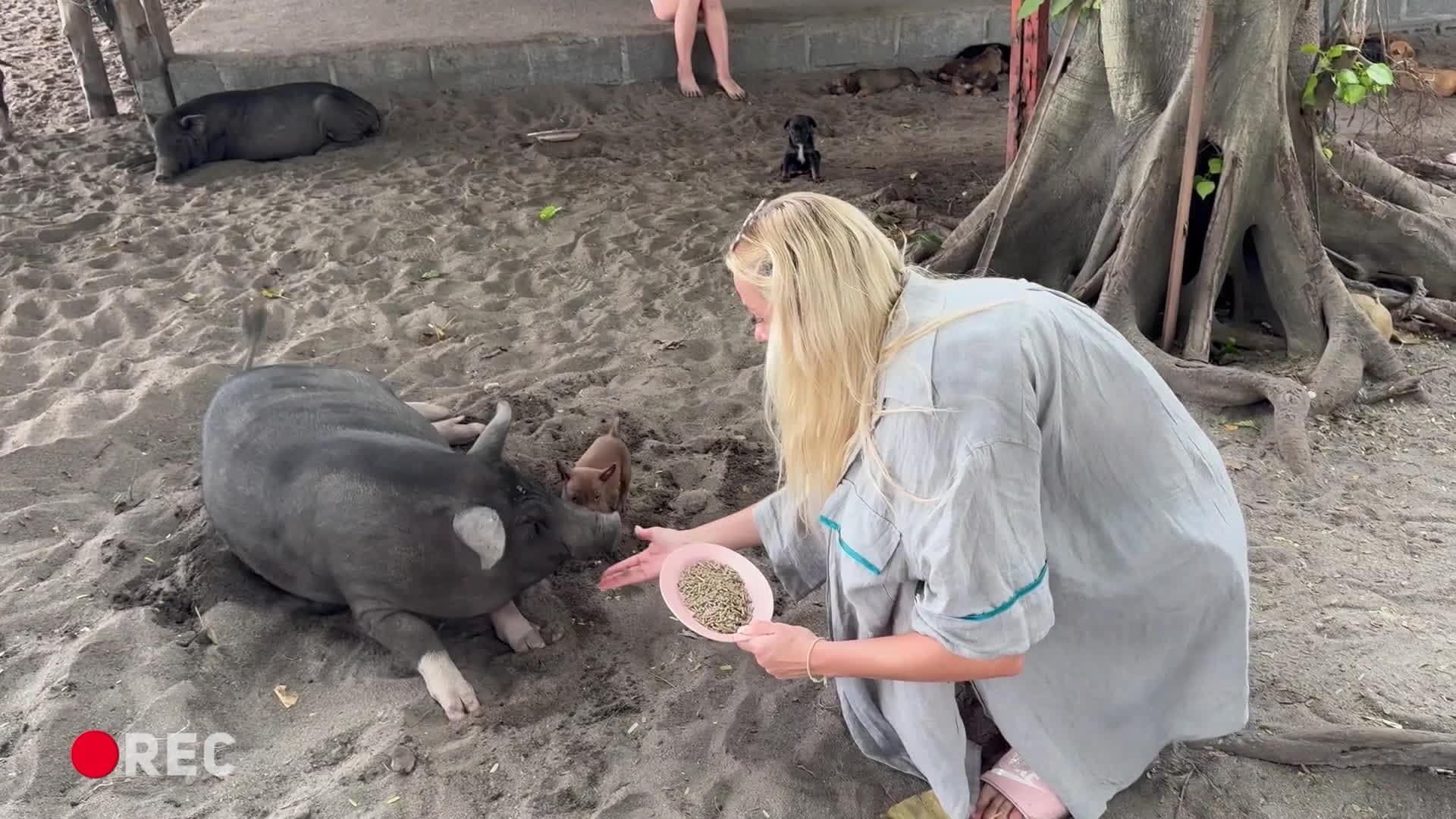 Slavenības. Bez filtra