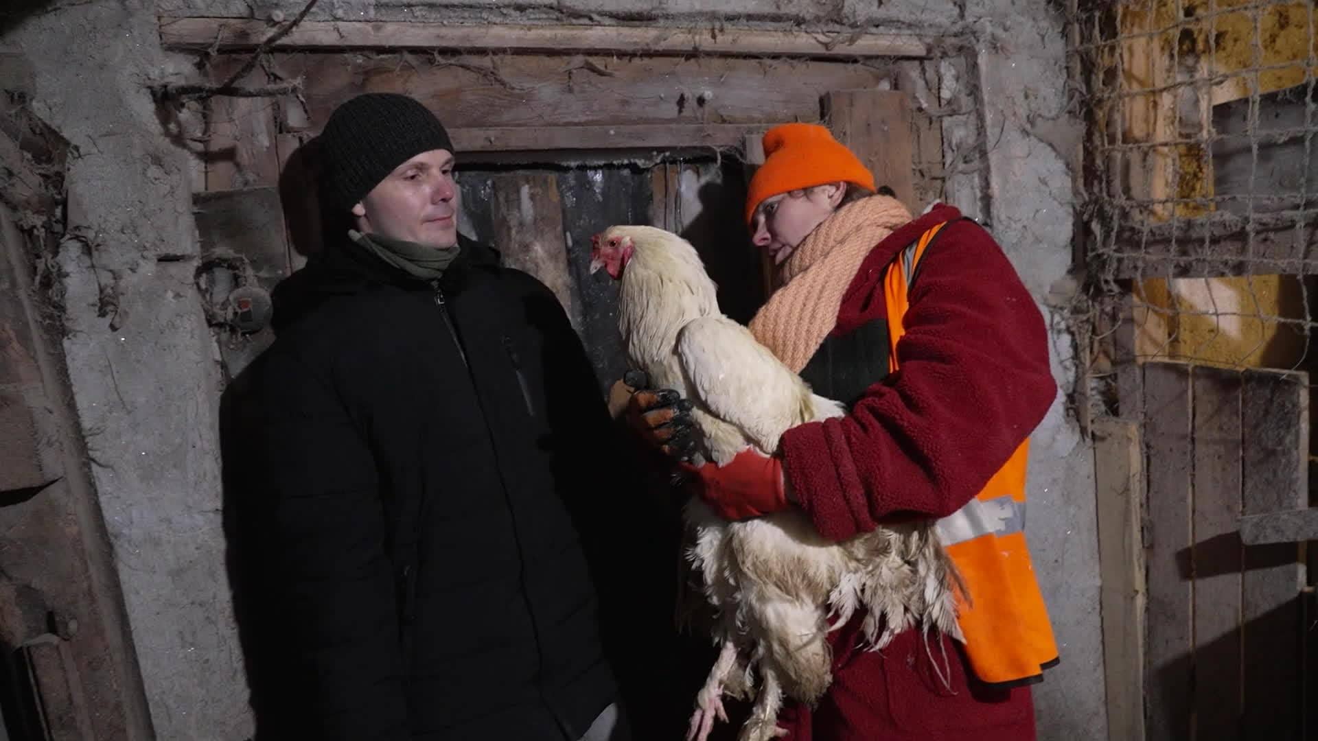 Slavenības. Bez filtra