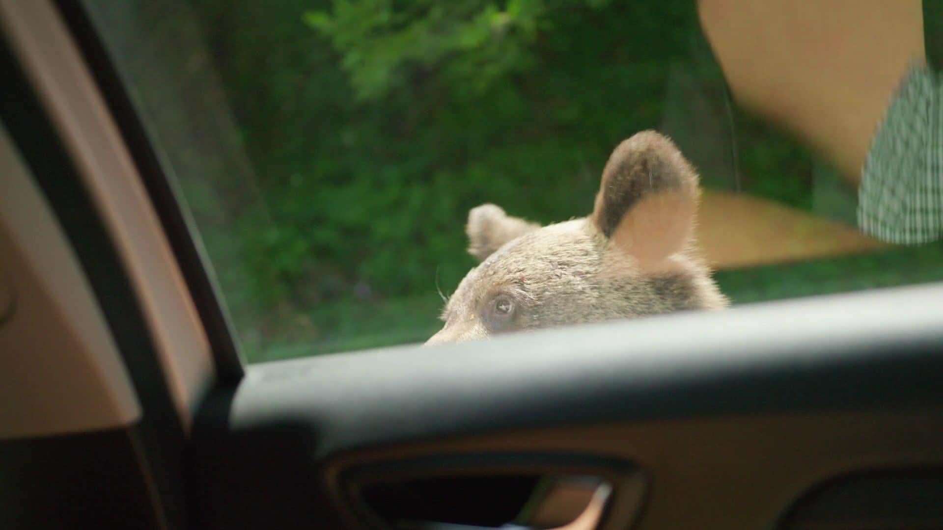 Tūrists ceļotāja gūstā